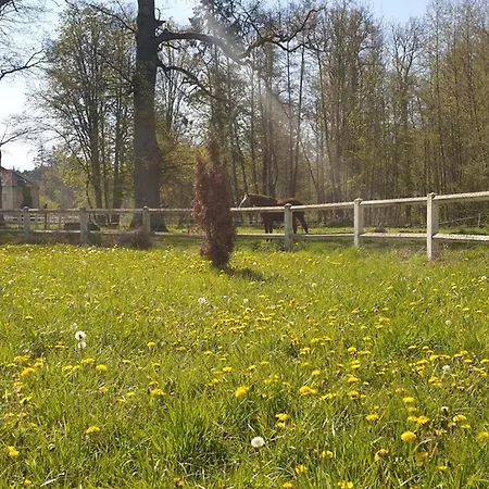 Spacieux Au Coeur De La Nature Avec Wifi, Animaux Admis Et Parking Privatif - Fr-1-527-51 Holiday home